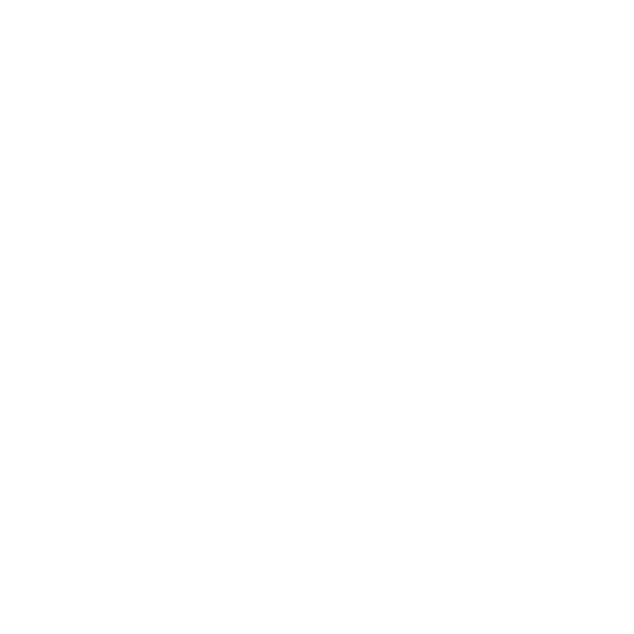 visionsbyraven logo